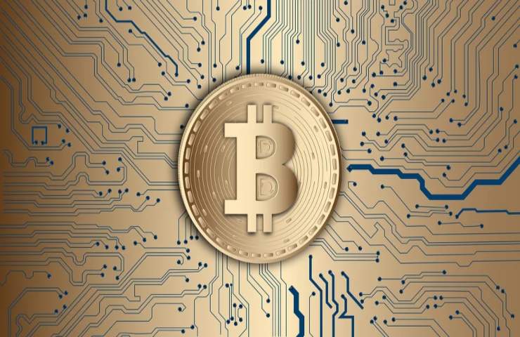 Bitcoin under 30 più ricco