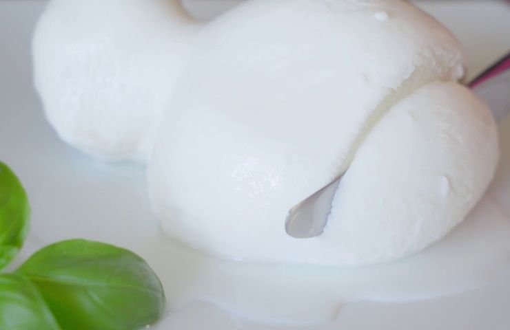 Mozzarella di bufala