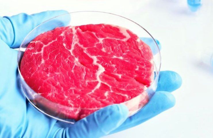 carne sintetica
