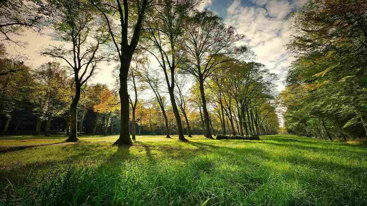 Legambiente città più green Italia