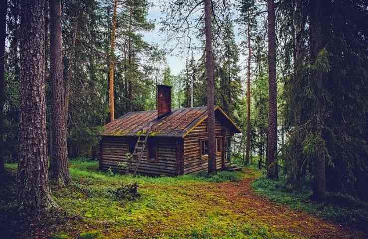 Piccola casa nel bosco