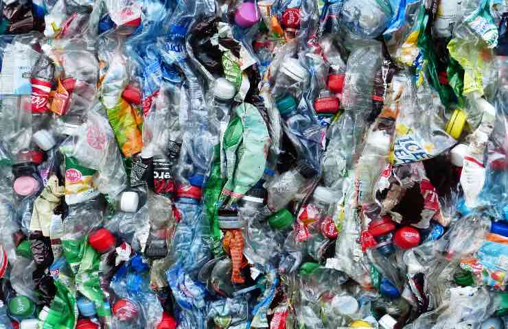 multa acquisto plastica 2022