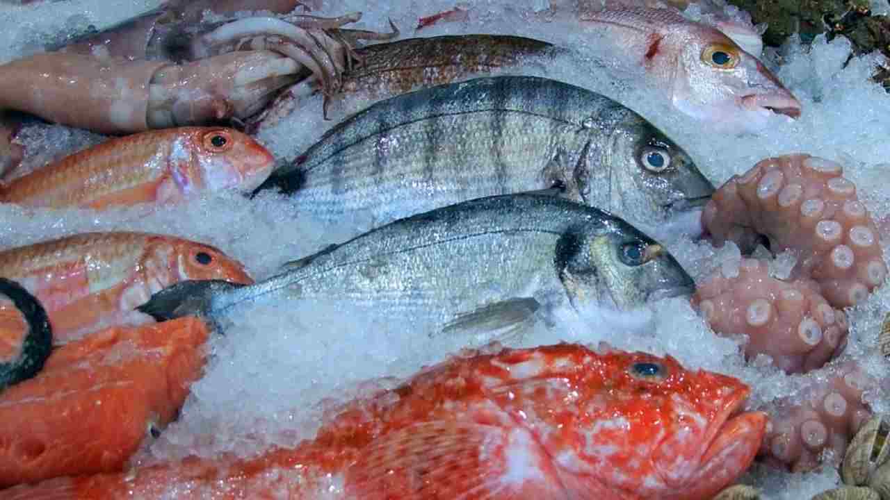Spesa per il pesce trend positivo in Italia