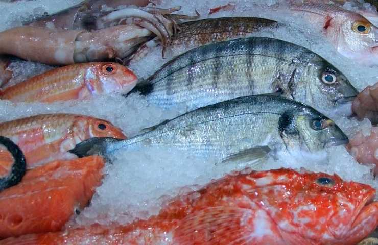 Spesa per il pesce trend positivo in Italia