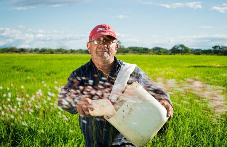 riso contadino progetto