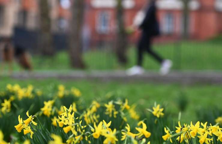 Primavera (fotoAnsa) 