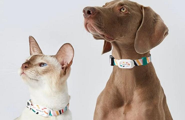 Accessori per cani e gatti