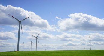 Imprese sempre più green, particolare richiesta mostra la tendenza al sostenibile