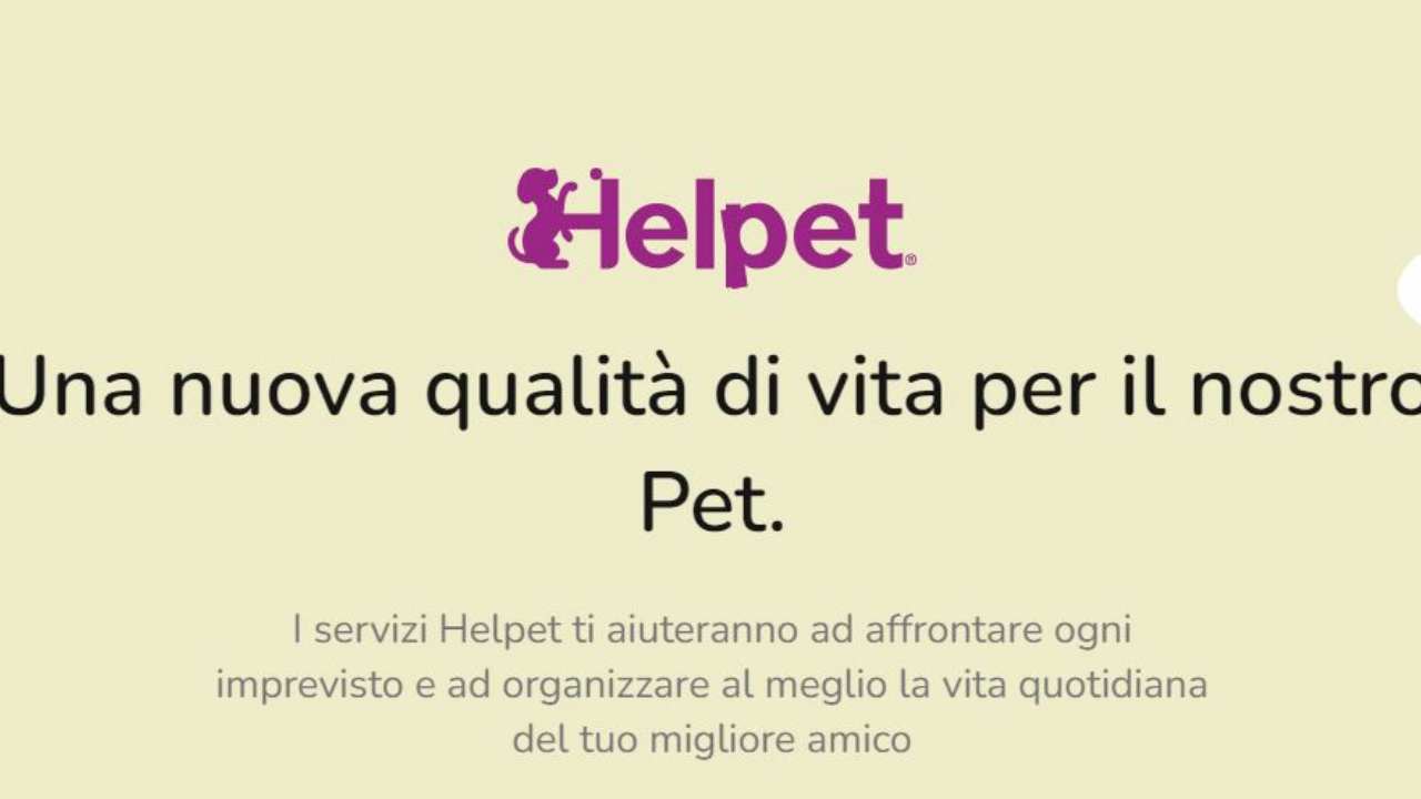 Helpet App