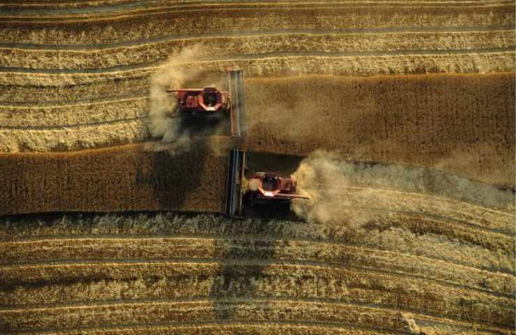 Trattori su un campo di grano