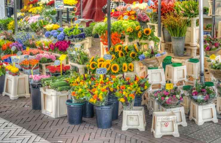 Fiori preziosi