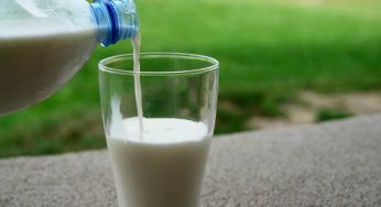 Casina del Latte, la qualità non paga: il triste annuncio
