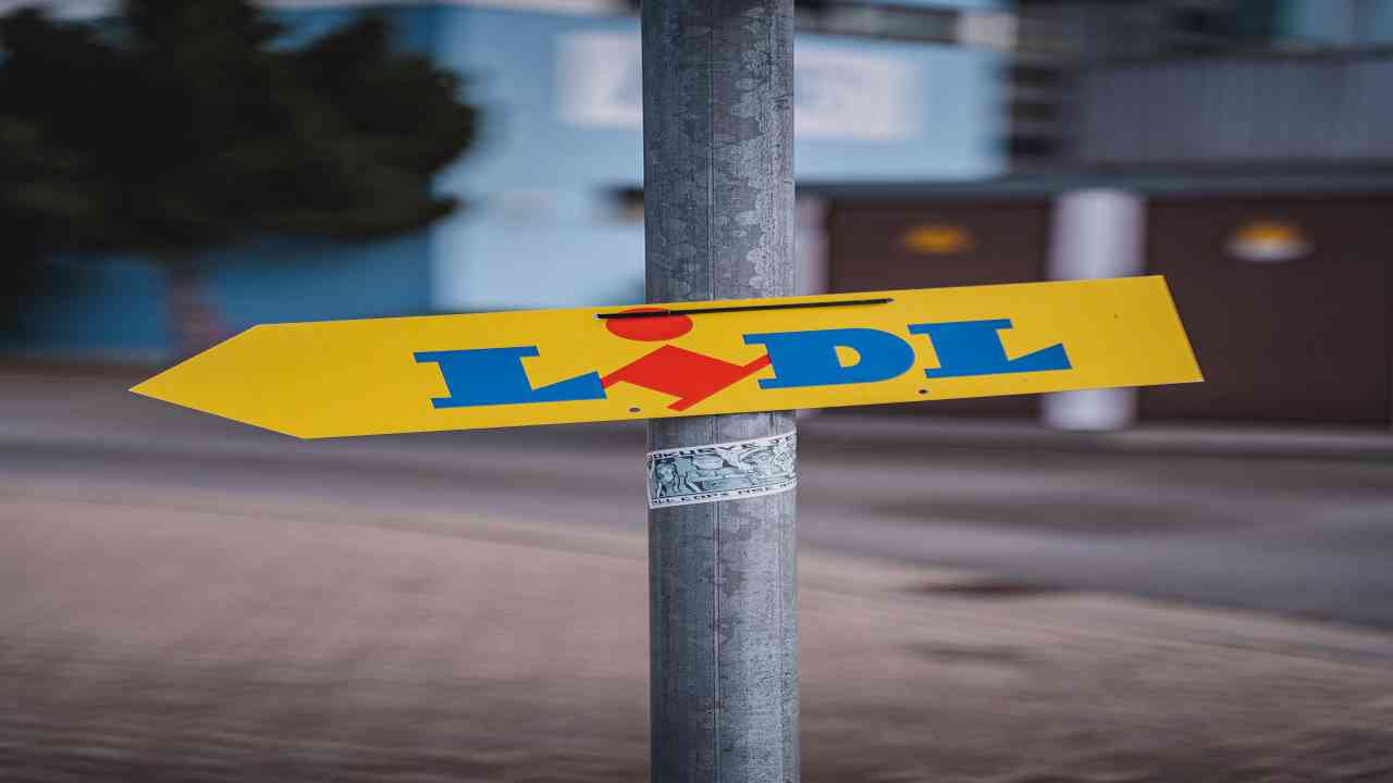 lidl ancona