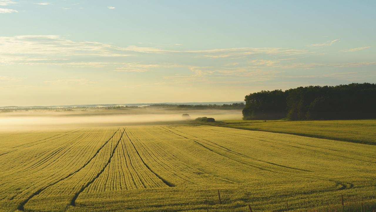 terreno agricolo regole codice