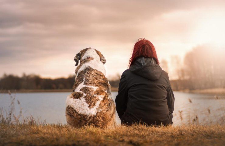 animali detrazione foto