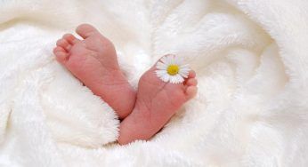 L’assegno unico non basta: in Italia non nascono più bambini