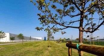 Appropriarsi di un terreno legalmente: come fare