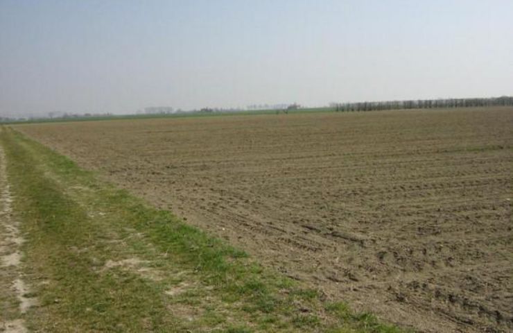 Terreno agricolo INTERNA