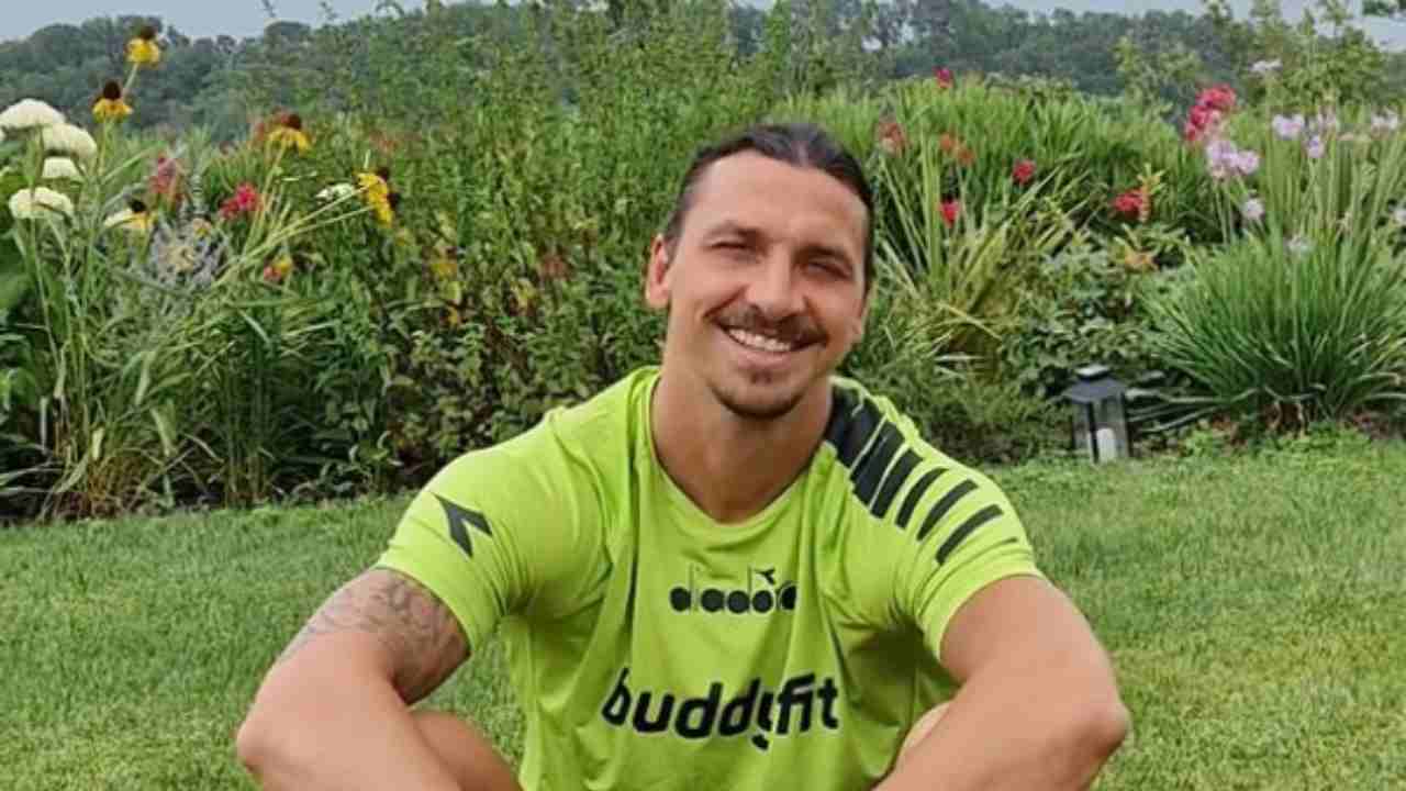 ibrahimovic rinnovo milan