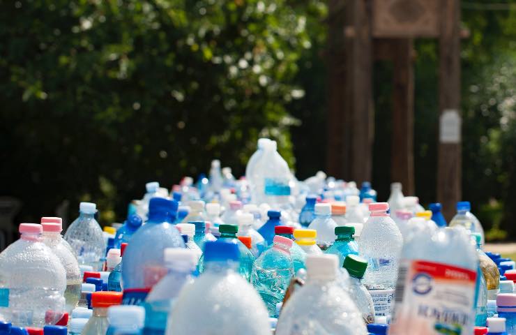 tasse su plastica e zucchero