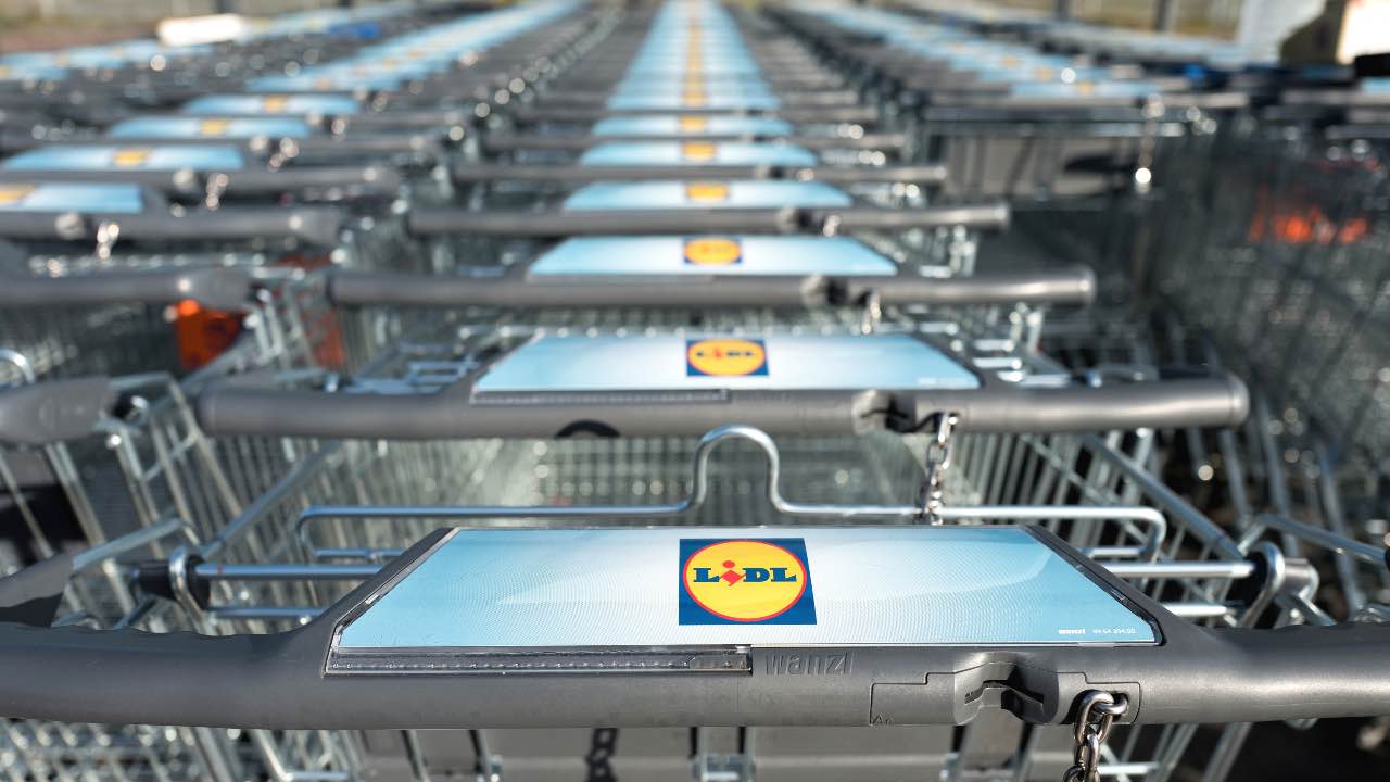 lidl ottima offerta