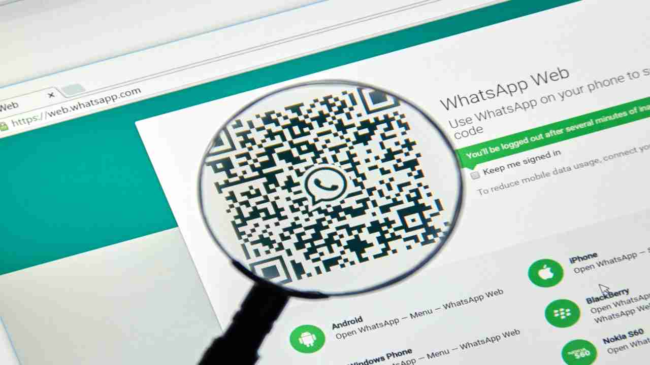 nuova funzione whatsapp web