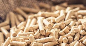 Bonus Pellet: finalmente torna a costare meno