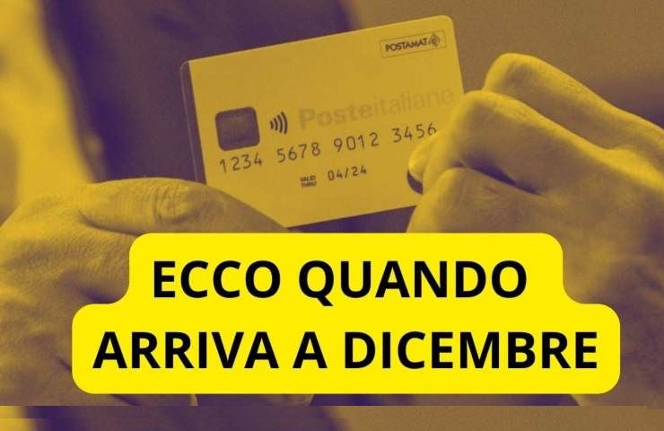 reddito di cittadinanza notizie dicembre