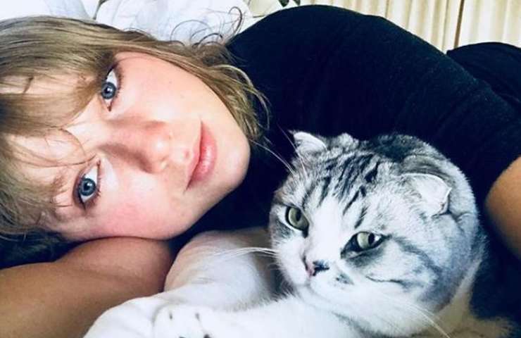 Taylor Swift Olivia Benson gatto