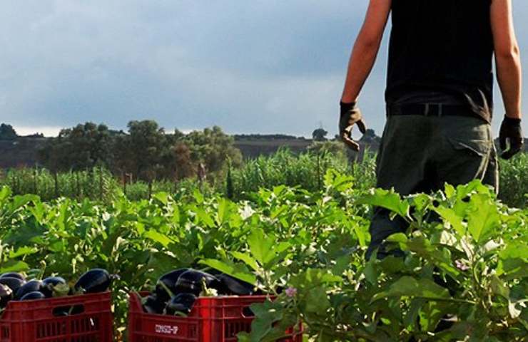 Beni Confiscati Criminalità INTERNA bonificobancario.it 20230523