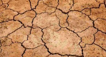 Siccità, la soluzione a costo basso che risolve il problema
