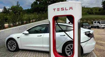 Tesla, il pericolo corre sulla strada: gli incredibili dati dei sinistri