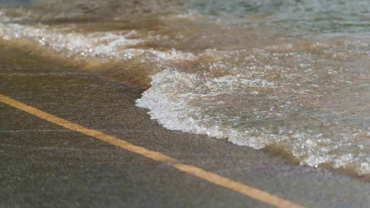 Alluvione Emilia francobollo aiuto popolazione