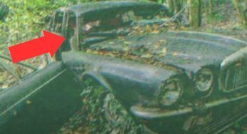Auto nella foresta: al suo interno ciò che trovano li lascia esterrefatti